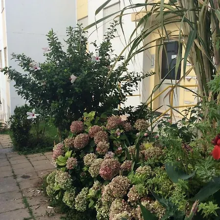 شقة Jardim Flores *