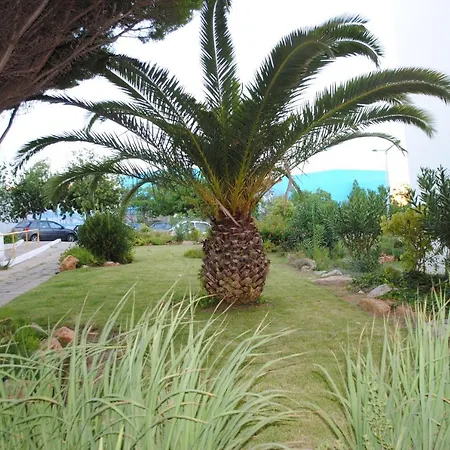 Apartman Jardim Flores *
