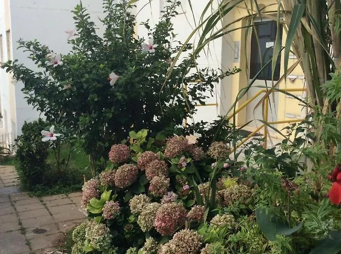 Lejlighed Jardim Flores *